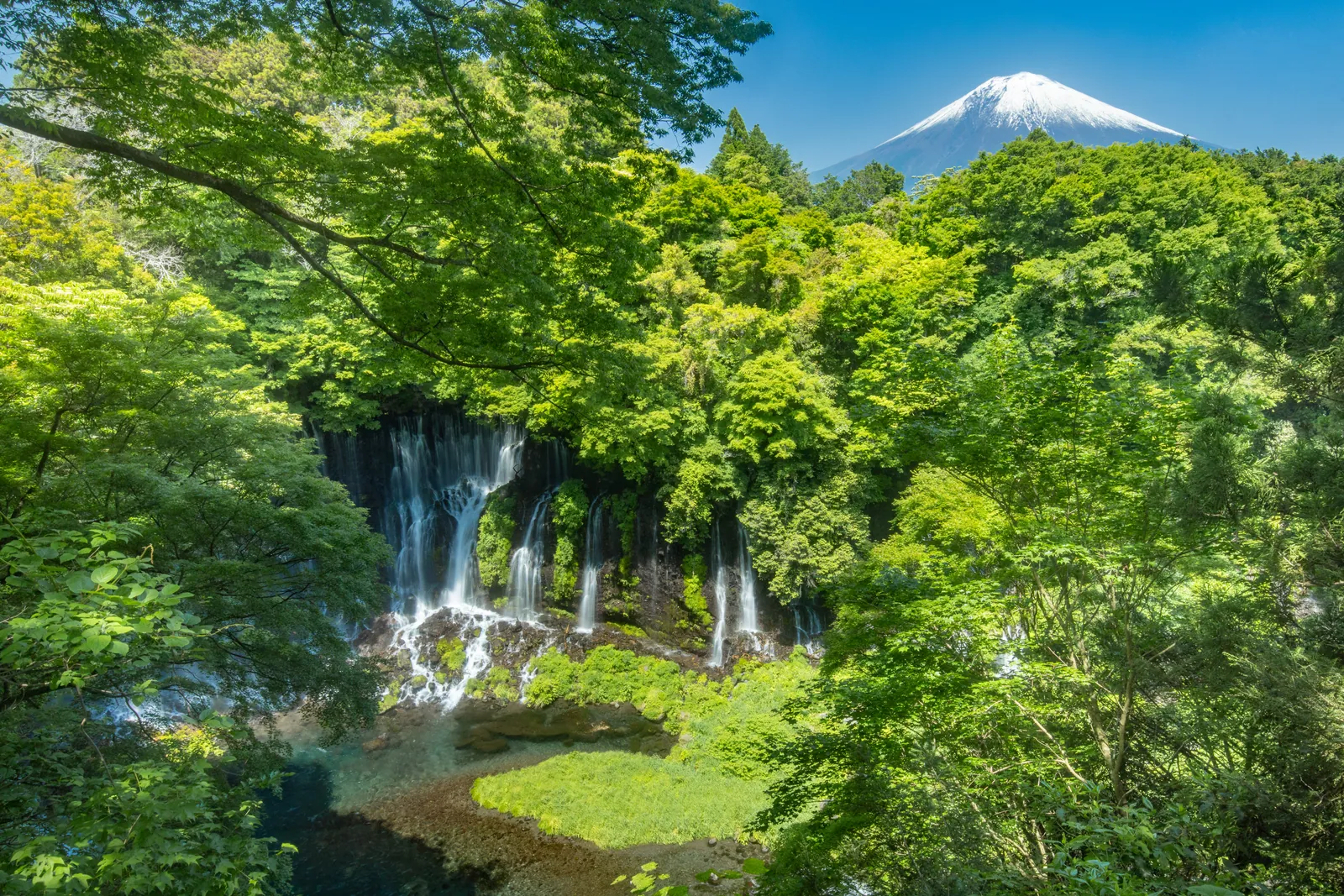 Shimizu Port: Cruise Port Sightseeing! Private sightseeing tour with a rental car [with 3 benefits]