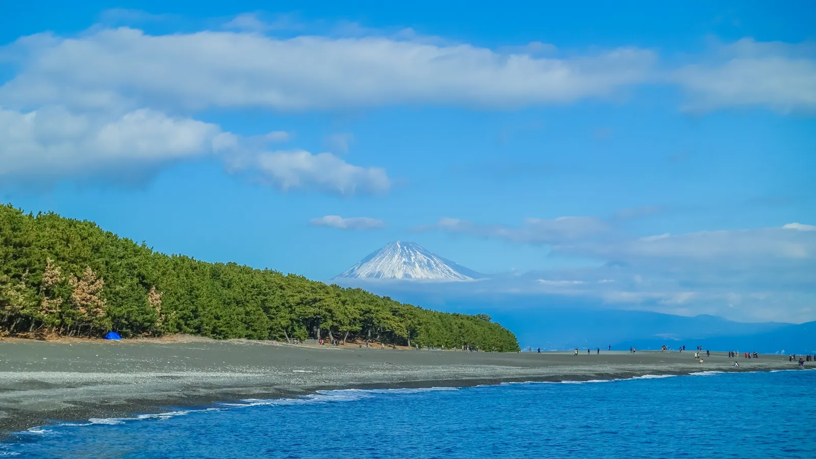 Shimizu Port 4-Hour Private Tour with English-Speaking Guide